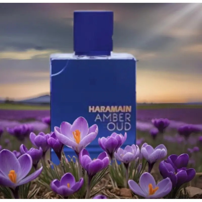 Al Haramain Amber Oud - Dubai  - Perfume Fragrance Dubai review and price